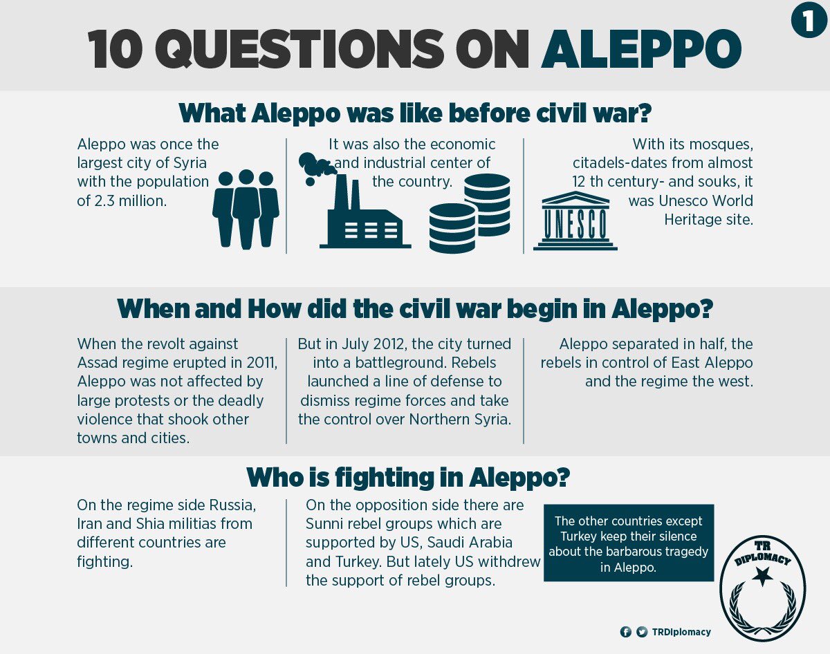 10 Questions on Aleppo