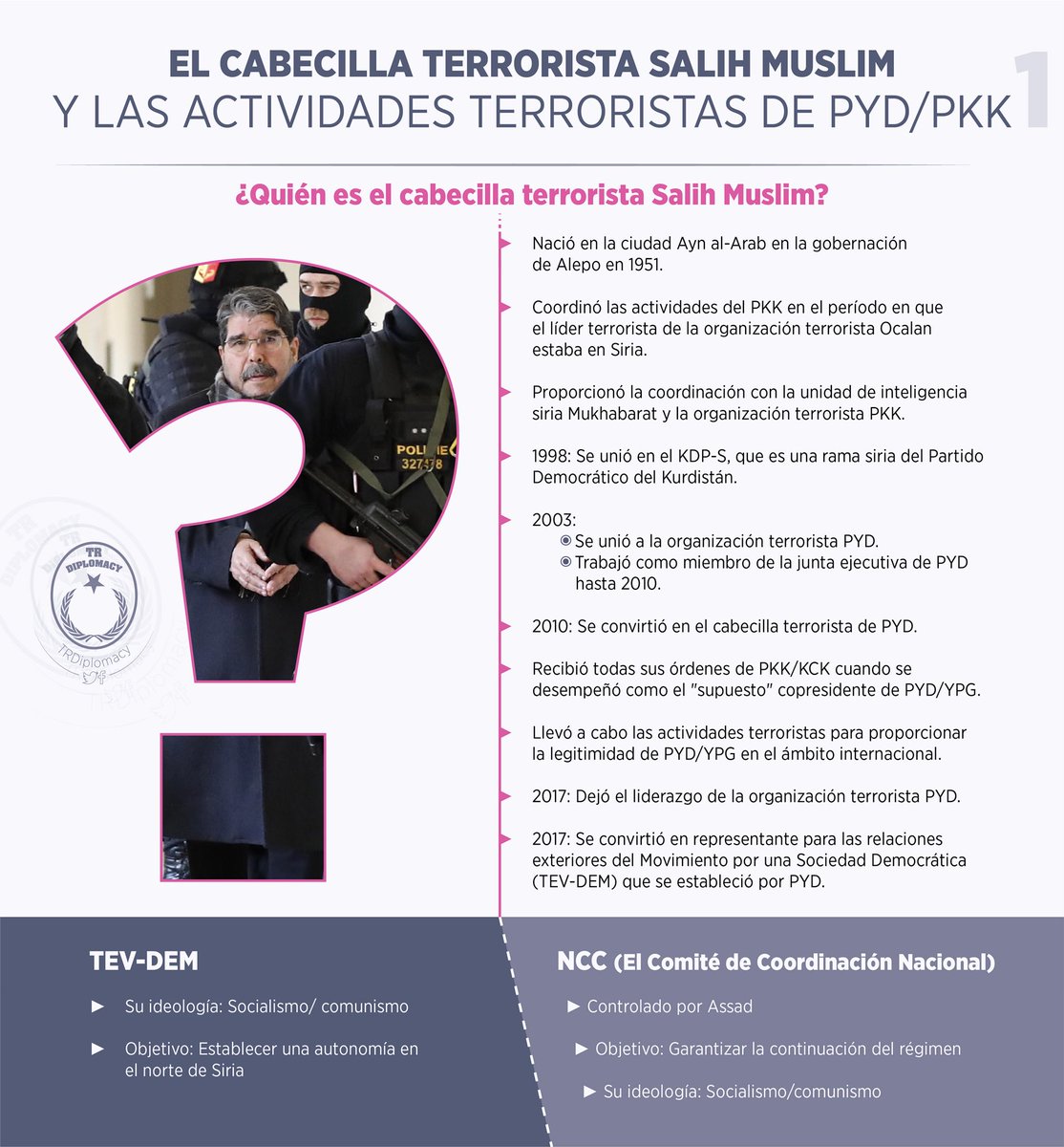 ¿Quien es Salih Muslim liberado por Chequia?