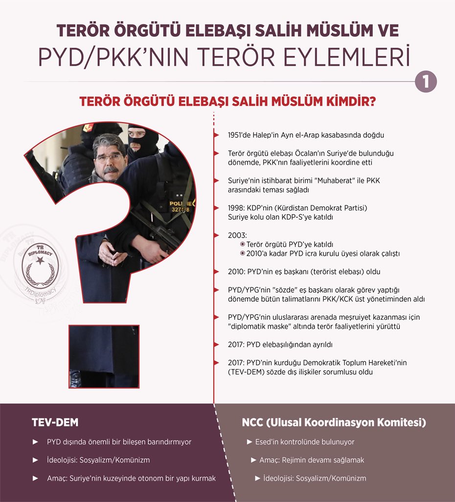 Terör Örgütü Elebaşı Salih Müslim ve PYD/PKK'nın Terör Eylemleri
